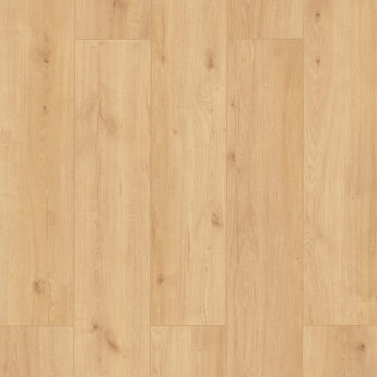 LAMINAT WR  65348 HRAST ALICANTE 8/33 4V 100h M-loc